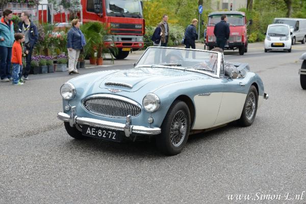 DSC_6239.jpg